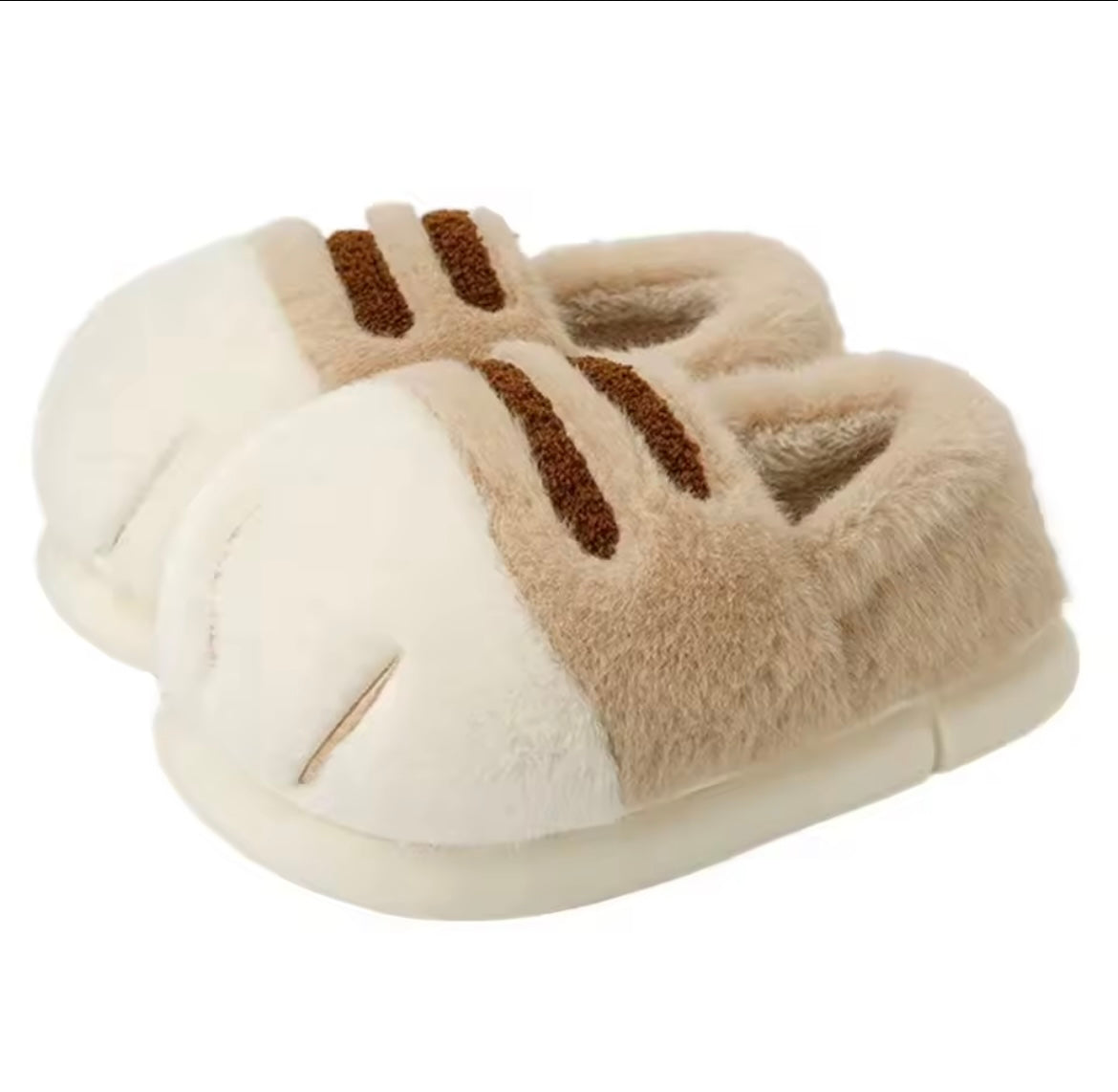 Nos pantoufles chat